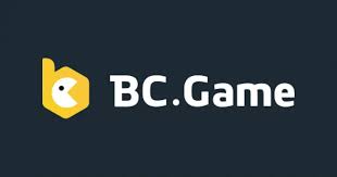 Comprehensive Review of the BC App Features, Usability, and More
