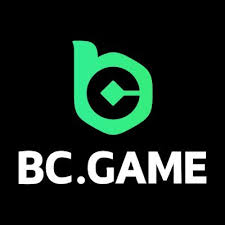 Comprehensive Review of the BC App Features, Usability, and More