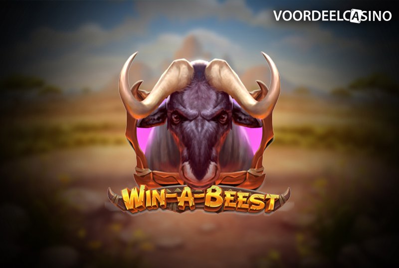Introduction to winbeast